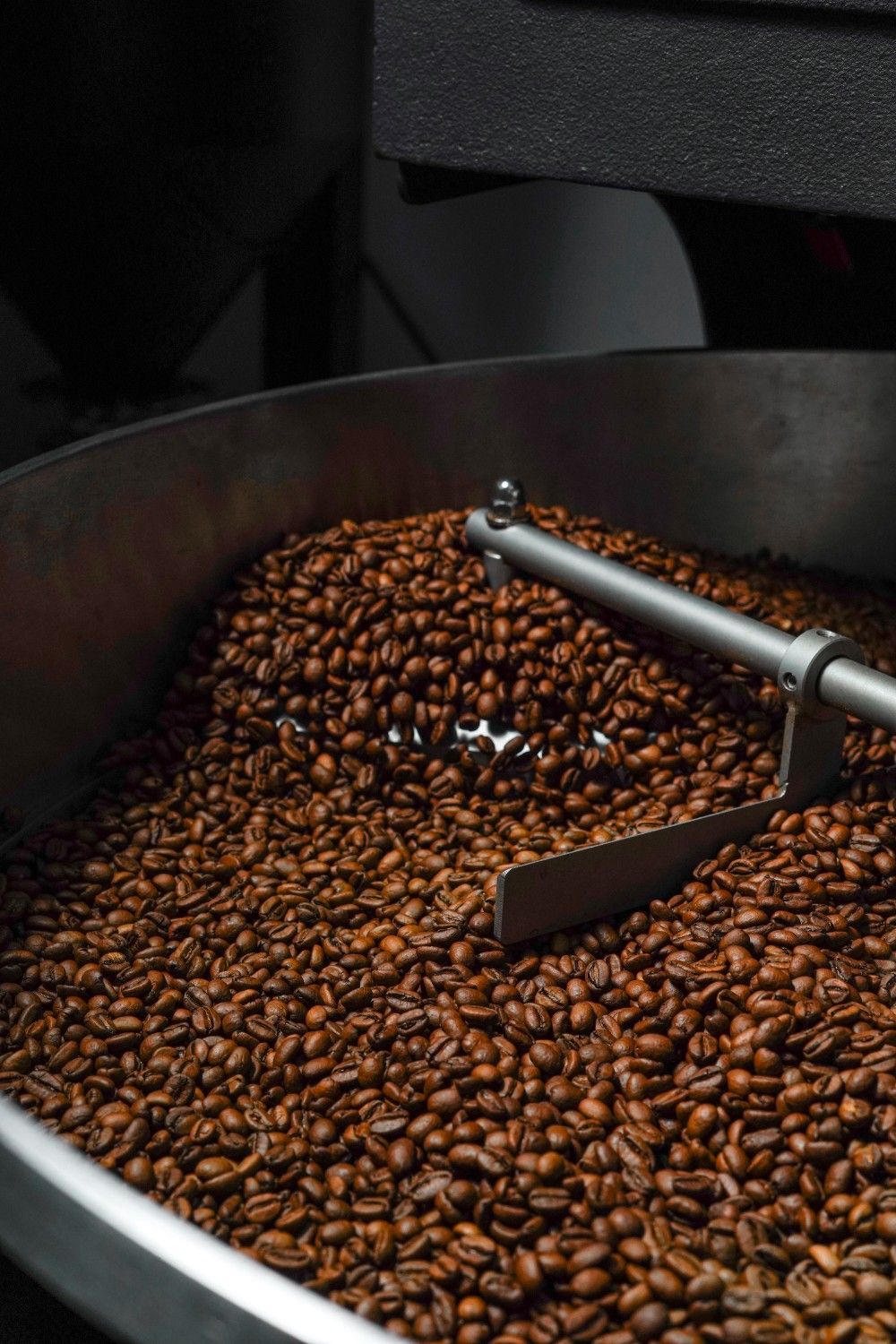 Coffee beans turning in a roaster